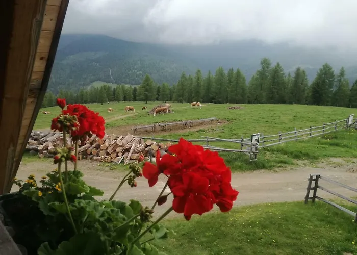 Gasthof Hiasl Zirbenhuette